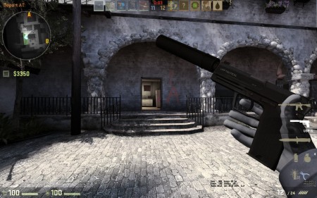 USP In game