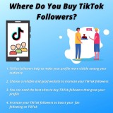 Where Do You Buy TikTok Followers?