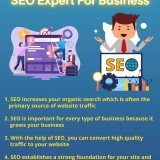 5 Reasons Why You Hire a SEO Expert For Business