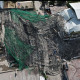 Building 5-24-26
