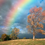 Photoshop Create a Rainbow