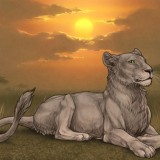 Lioness