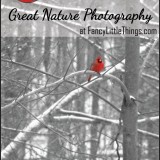NaturePhoto Tips