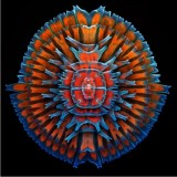 photomicrography contest results