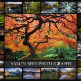 Aaron Reed photography