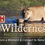 b&h wilderness photo competition