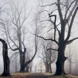 haunting landscapes Kilian Schoenberger